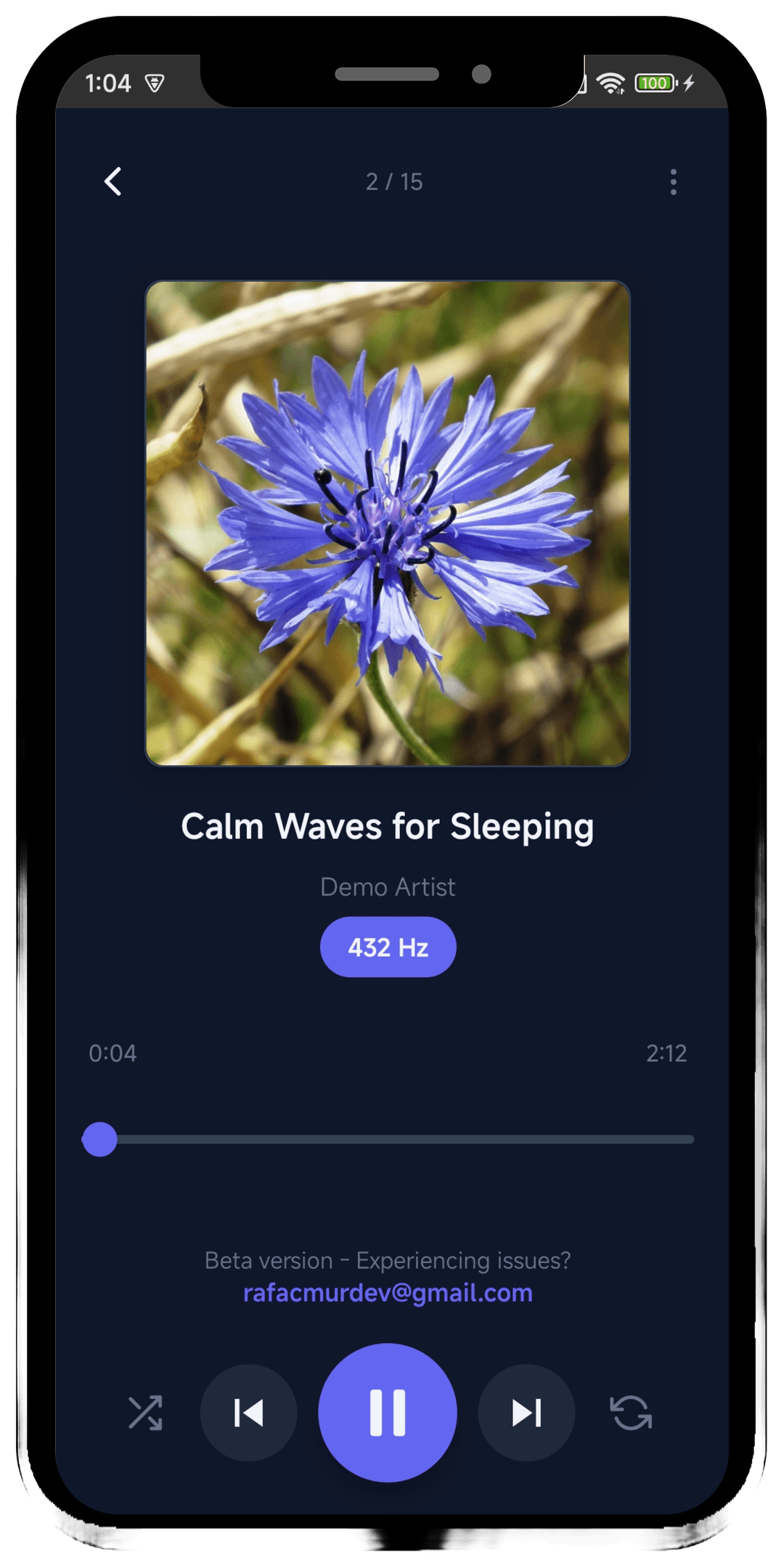 Now playing screen in True Resonance player